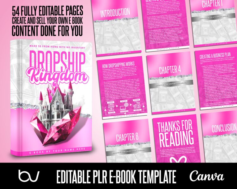 Featured image for books about dropshipping - PLR Dropshipping E Book, E Book With ...