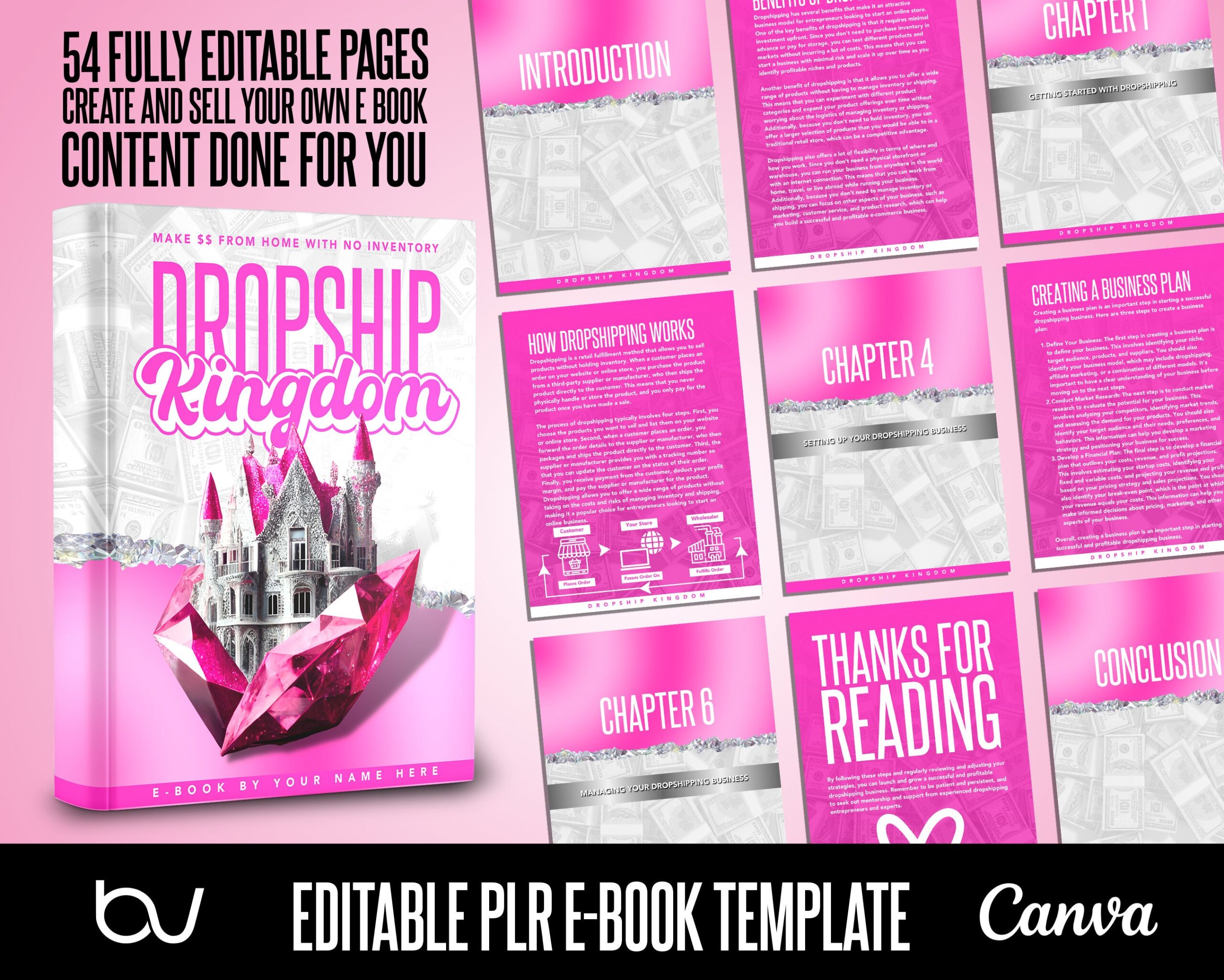Featured image for books about dropshipping - PLR Dropshipping E Book, E Book With ...