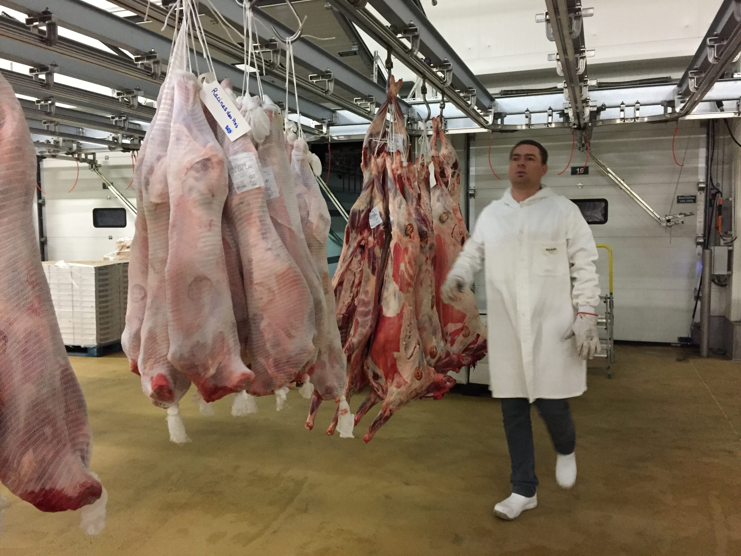 Featured image for meat delivery from farm - Meat products