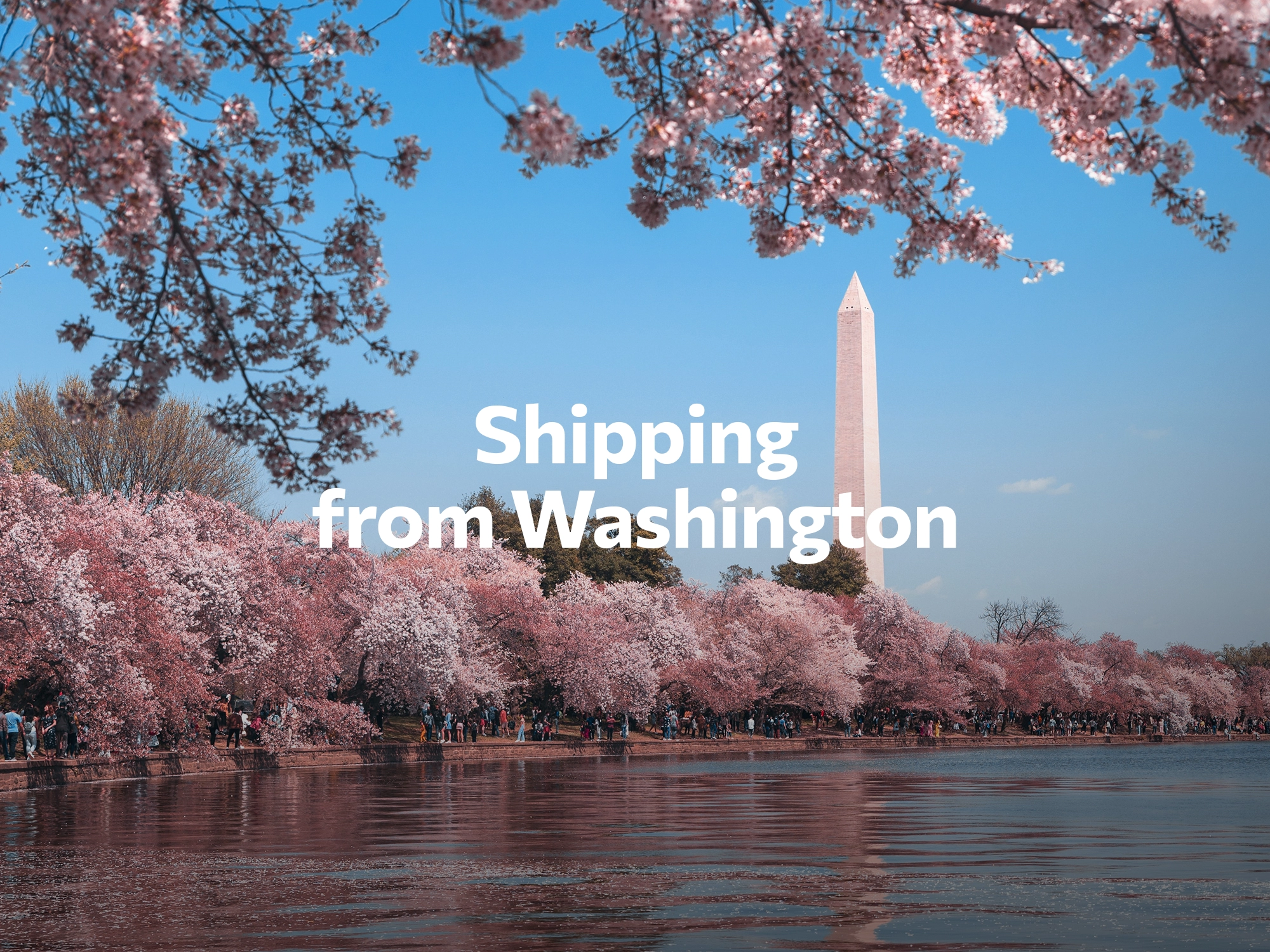 Featured image for shipping vinyl from washington state to boston - Washington D.C. to Boston Shipping Rates