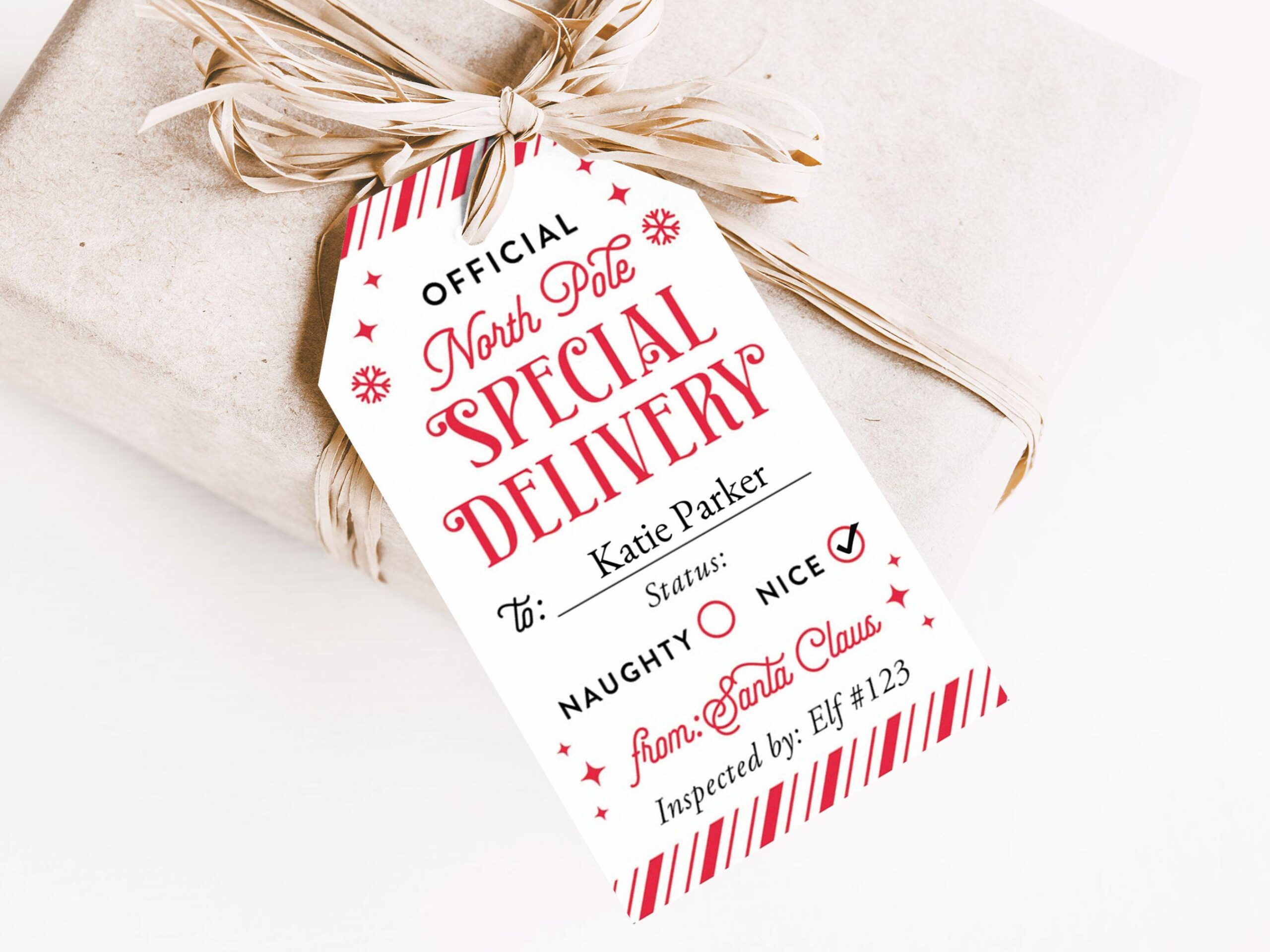 Featured image for special delivery from santa - Delivery From Santa - Etsy